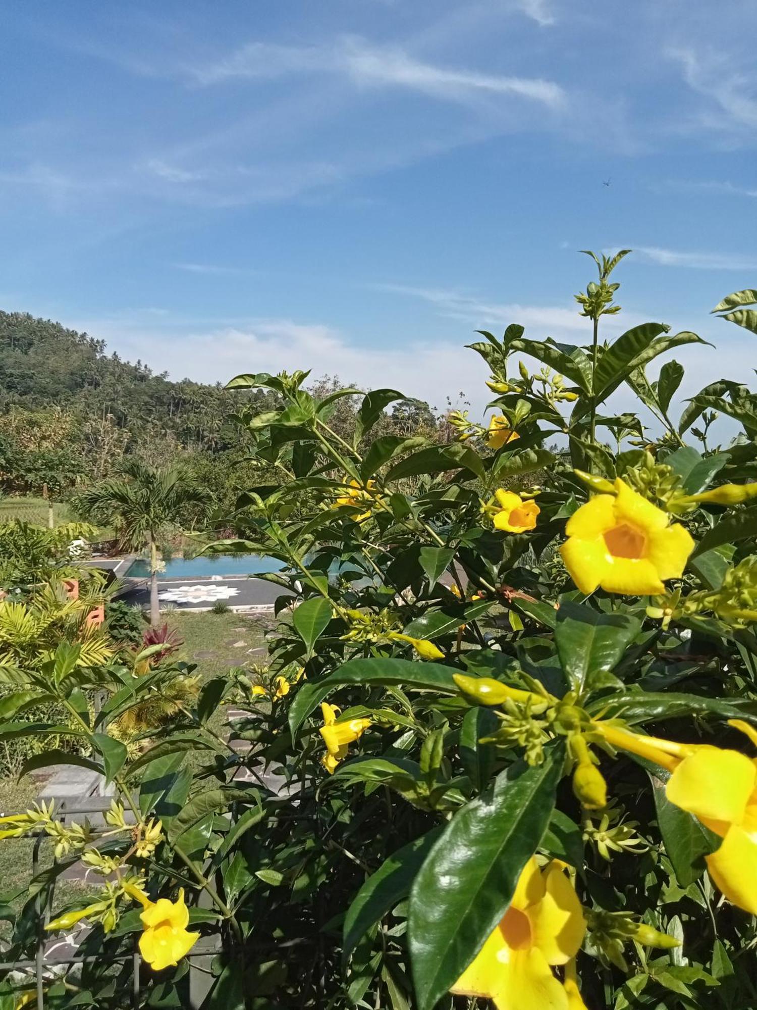 Villa Markisa Pakisan Sawan Dış mekan fotoğraf
