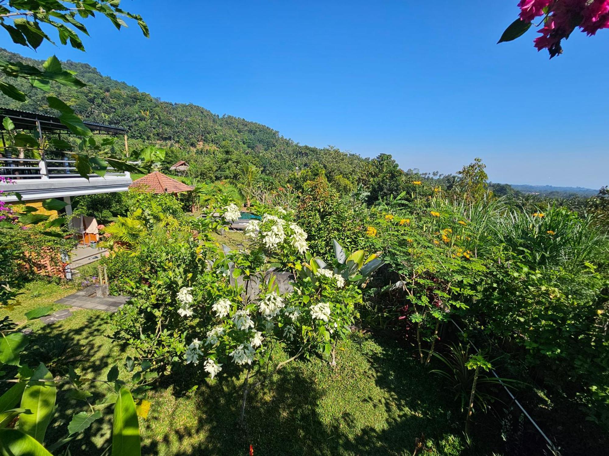 Villa Markisa Pakisan Sawan Dış mekan fotoğraf